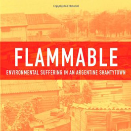 Flammable. Environmental Suffering in an Argentine Shantytown.